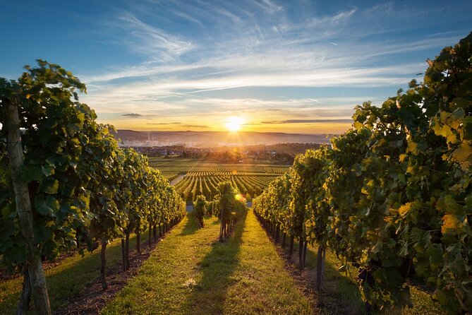 East Kelowna Wine Tour From Vernon - Classic - 6 Wineries - Pickup Locations