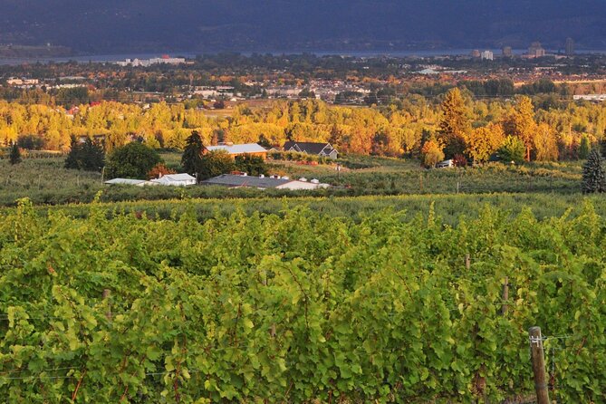 East Kelowna Wineries Tour - Additional Information