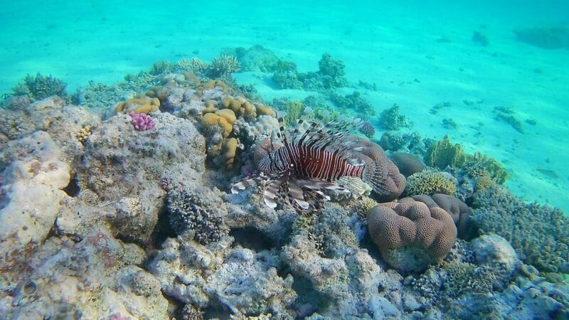 East Nusa Penida (with Snorkeling) Private Tour - Preparation and Guidelines