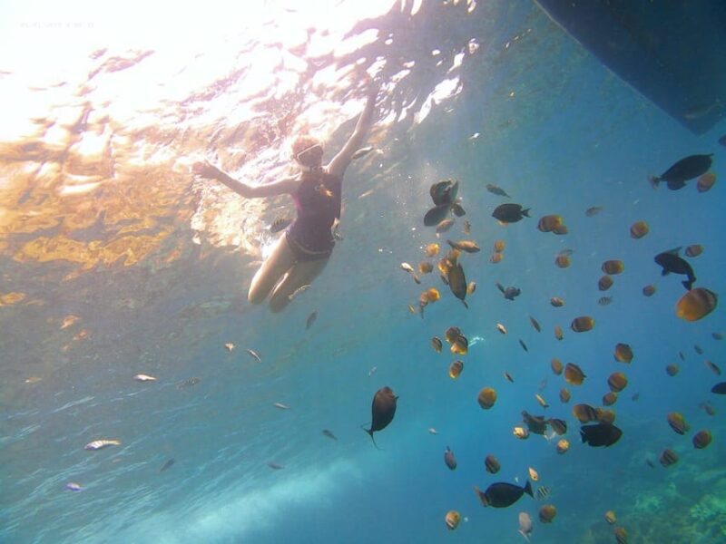 East of Bali Sight Seeing Tour - Itinerary and Highlights