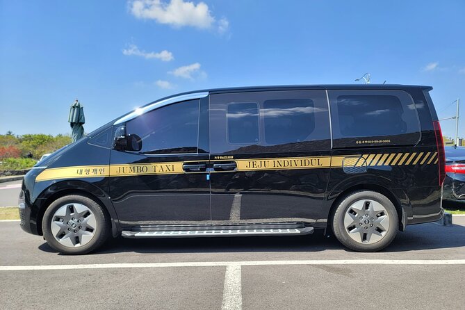 East of Jeju Private Jumbo Taxi Tour With Mr.Ko (Suhong) - Customer Feedback