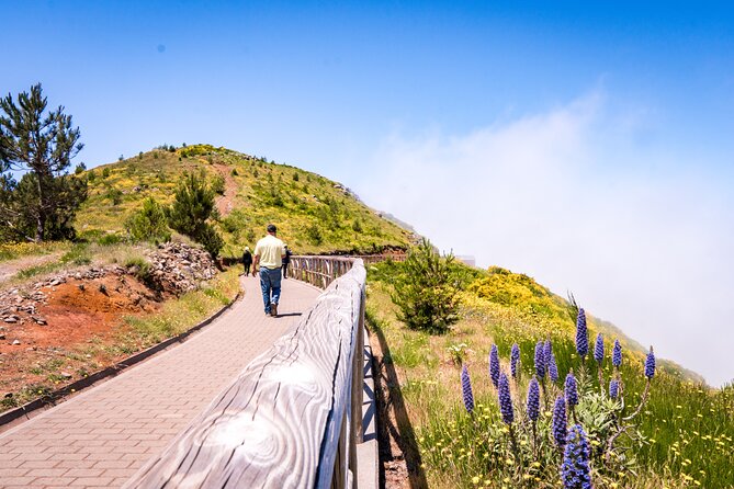 East of Madeira | Full Day 4x4 Tour - Spectacular Natural Scenery