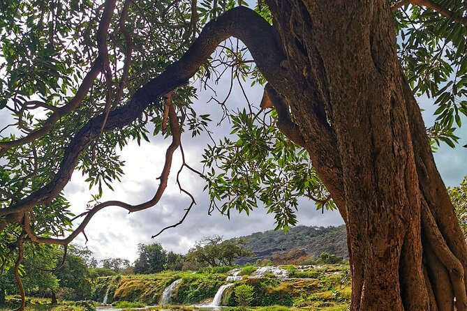 East of Salalah, Mountain Safari, Camels, Waterfall, White Beach - Highlights and Inclusions