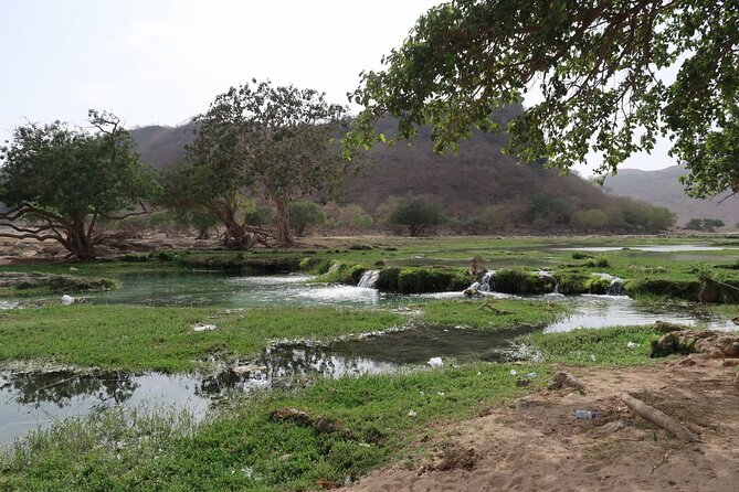 East of Salalah, Mountain Safari, Camels, Waterfall, White Beach - Booking Information