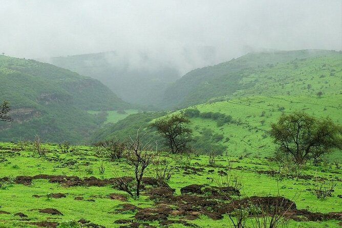 East of Salalah, Mountain Safari, Camels, Waterfall, White Beach - Encounter With Camels