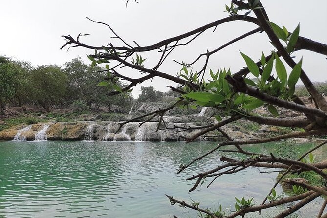 East Salalah Mountain Safari - Inclusions