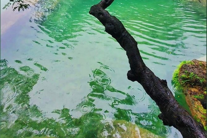 East Salalah Mountain Safari - Why Choose Us