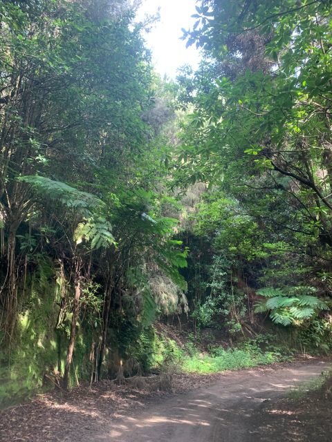 East Tour: Classic Jeep Tour to East Madeira - Santana - Booking and Cancellation