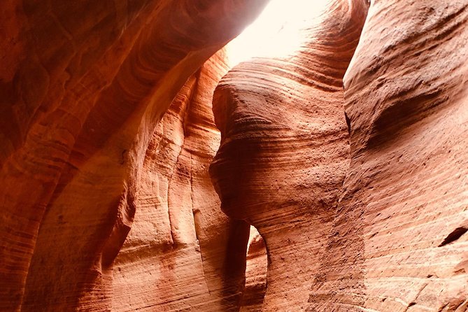 East Zion 4 Hour Slot Canyon Canyoneering UTV Tour - Adventure Experience