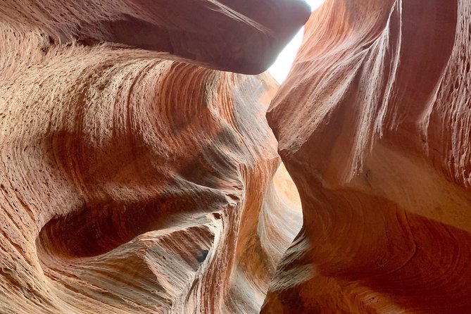 East Zion 4 Hour Slot Canyon Canyoneering UTV Tour - Safety Considerations