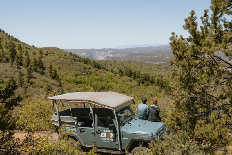 East Zion: Brushy Cove Jeep Adventure - Potential Wildlife Sightings