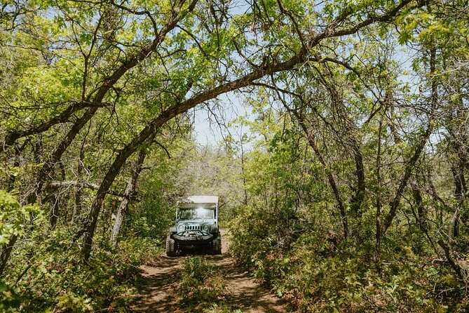 East Zion Brushy Cove Jeep Tour - Meeting Point