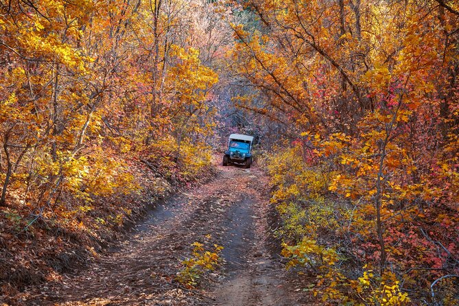 East Zion Brushy Cove Jeep Tour - Safety Considerations