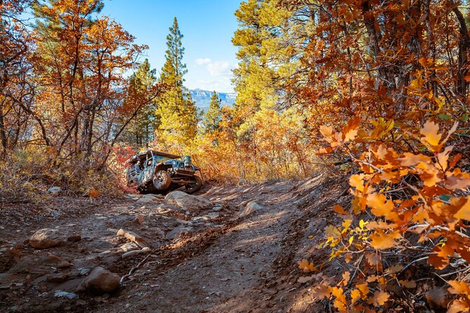 East Zion Brushy Cove Jeep Tour - Booking and Confirmation