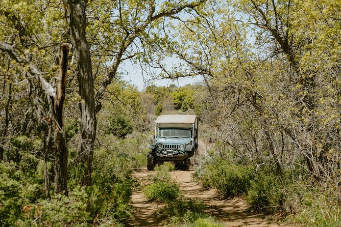 East Zion Brushy Cove Jeep Tour - Reviews and Ratings