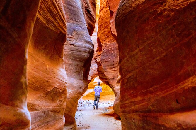 East Zion Crimson Canyon Hike & UTV Adventure - Customer Reviews and Feedback