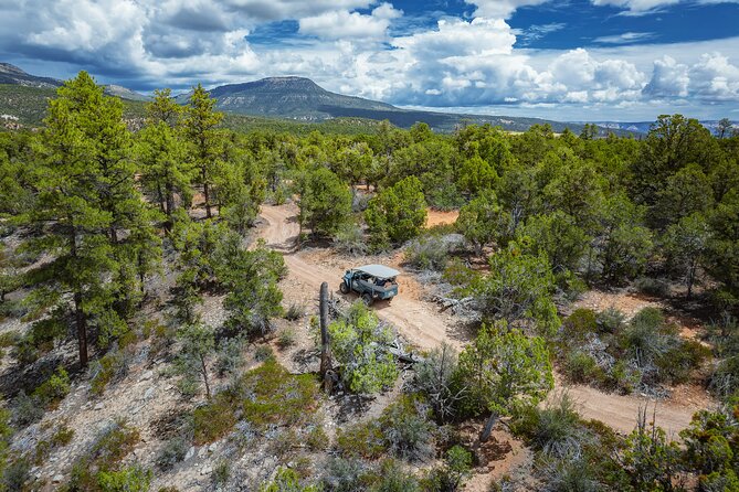 East Zion East Rim Jeep Tour - Tour Details Explained