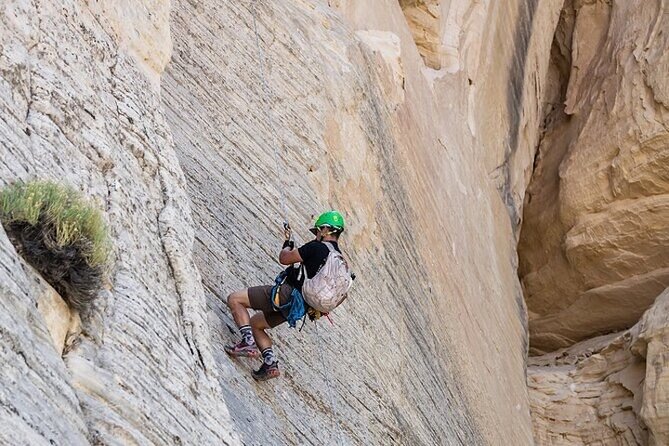 East Zion Elk Heart Cliffs Via Ferrata and Rappelling (3Hr) - Recommended Fitness Level