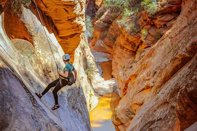 East Zion: Powells Way Full-Day Canyoneering - Whats Included
