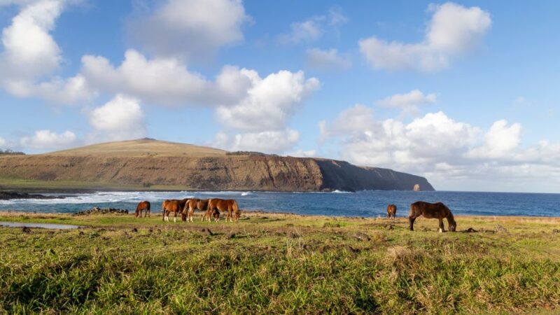 Easter Island: Discovering the North Coast of Rapa Nui - Whats Included