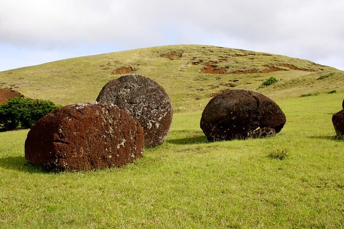 Easter Island Moai Archaeology Tour: Ahu Akivi, Ahu Tahai and Puna Pauâ Quarry. - Transportation and Meeting Point