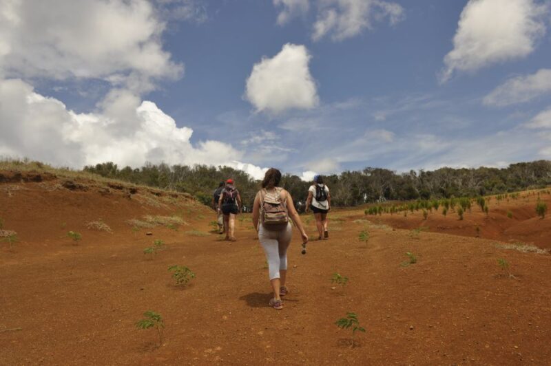 Easter Island: Poike Volcano Private Hiking Tour With Guide - Important Considerations