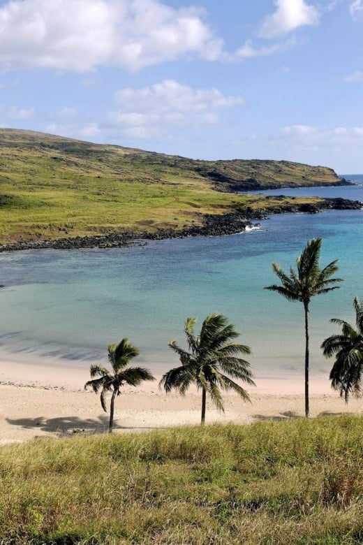 Easter Island: Private Full Day History Of The Moai - Pickup and Drop-off