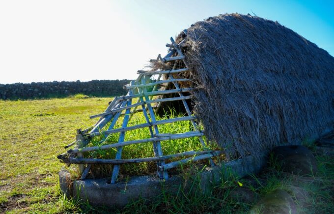 Easter Island: Private Full Day History Of The Moai - Scenic Views and Photo Ops