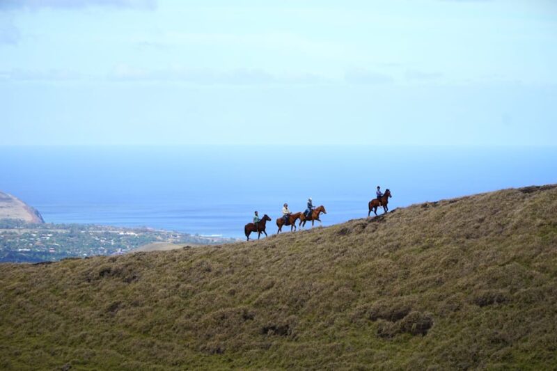 Easter Island: Private Horse Ride to Mount Terevaka - Itinerary Details