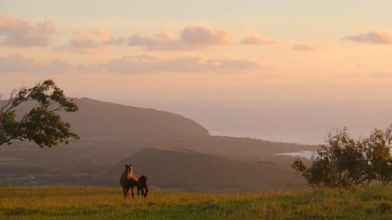 Easter Island: Private Horse Ride to Mount Terevaka - Experience Highlights