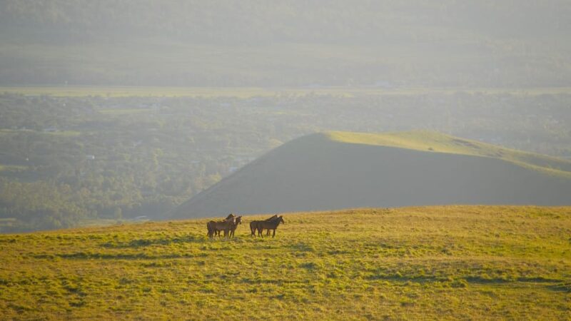 Easter Island: Private Horse Ride to Mount Terevaka - Participant Restrictions