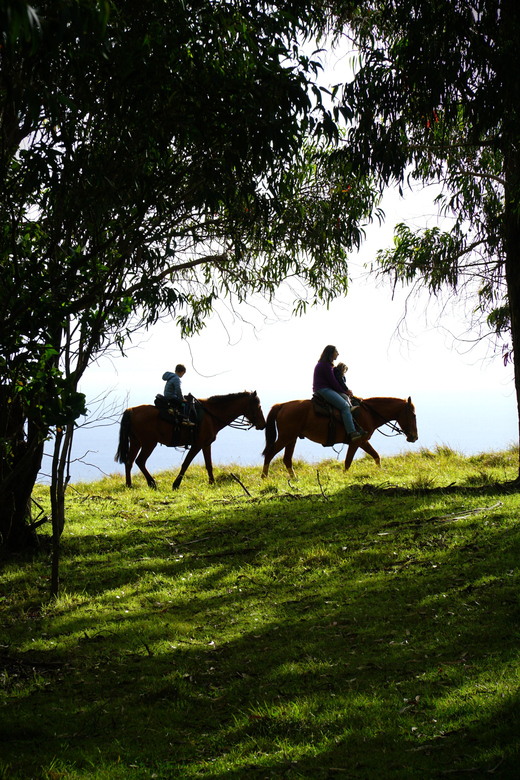 Easter Island: Private Horse Ride to Mount Terevaka - Panoramic Views of the Island
