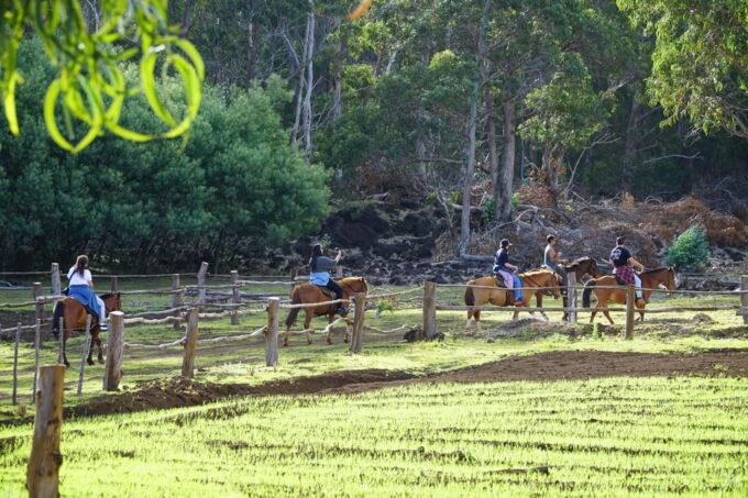 Easter Island: Private Horse Ride to Mount Terevaka - Silence and Tranquility on Top