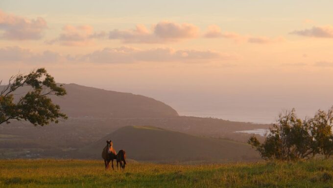 Easter Island: Private Horse Ride to Mount Terevaka - Frequently Asked Questions