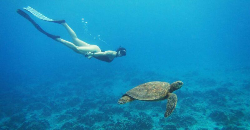 Easter Island: Snorqueling Tour on Coral Reefs - Itinerary and Experience