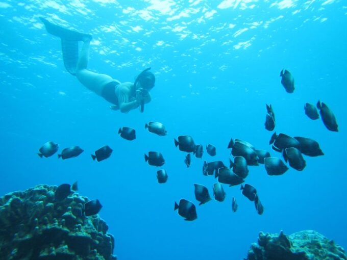 Easter Island: Snorqueling Tour on Coral Reefs - Underwater Moai Discovery