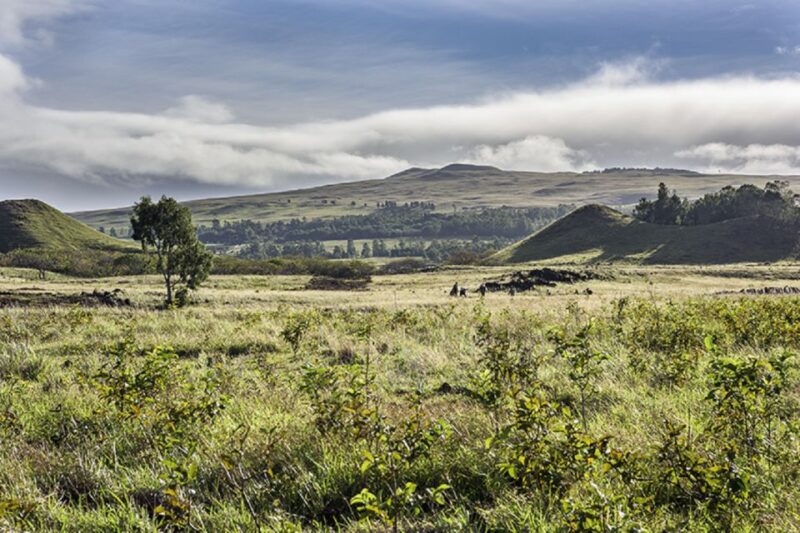 Easter Island: Terevaka Summit Hike Private Half-Day Trip - Weather Conditions
