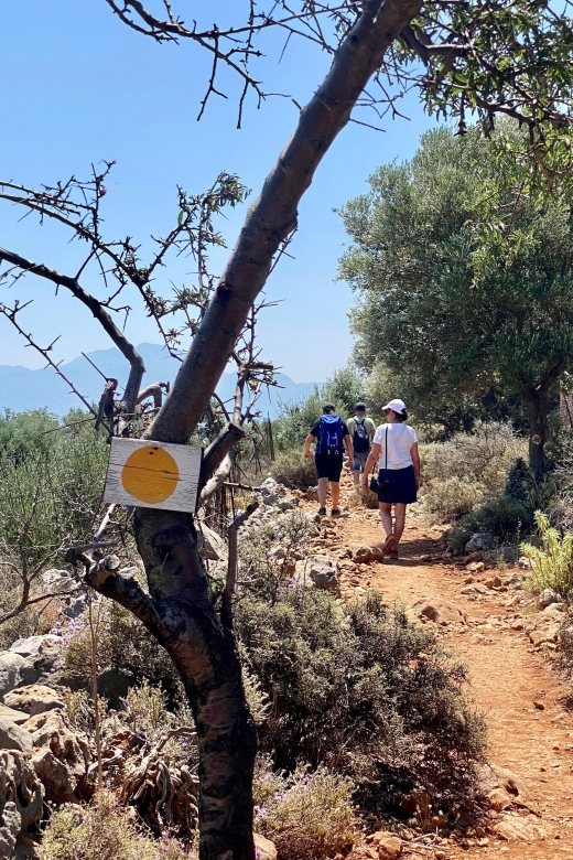 Eastern Crete: Kritsa Gorge Hiking Tour - Key Points