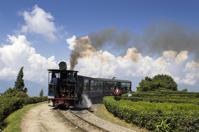 Eastern Himalaya (Darjeeling, Pelling, Gangtok & Kalimpong) - Key Points
