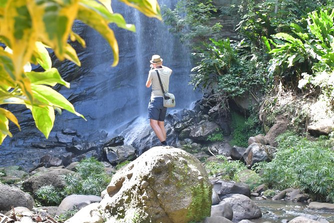Eastern Tours/ Mt. Carmel Falls / Laura Spice Tour / Clarkes Court Distillery - About Your Stay