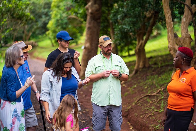 Eastern Tours/ Mt. Carmel Falls / Laura Spice Tour / Clarkes Court Distillery - Itinerary Highlights