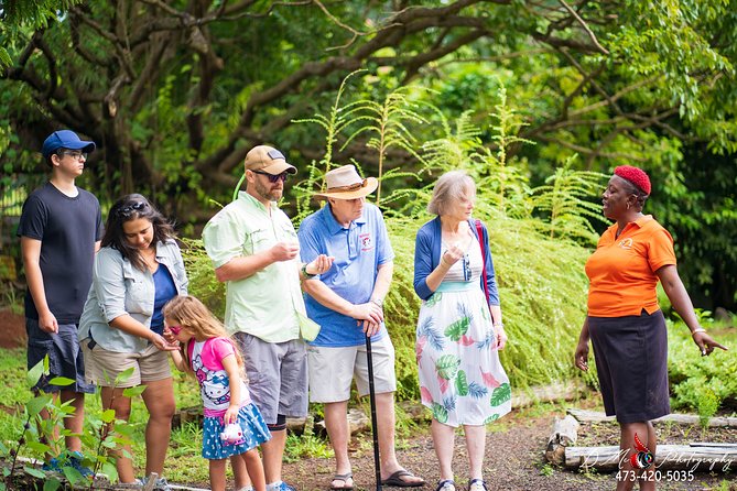Eastern Tours/ Mt. Carmel Falls / Laura Spice Tour / Clarkes Court Distillery - Discovering Lauras Spice Garden