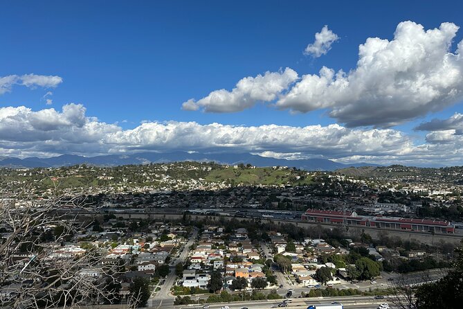 Eastside Express by Luxury E-Bike: LA River Frogtown Go Dodgers! - Dodger Stadium: A Sports Icon