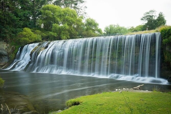 Eastwoodhill Arboretum and Rere Falls Gisborne Private Tour - Accessibility and Reviews