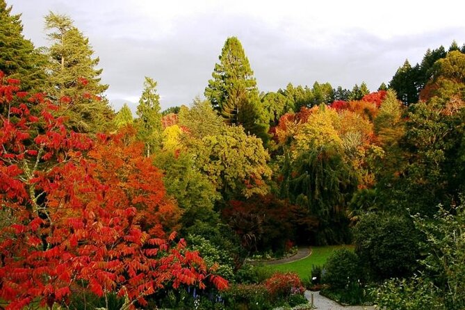 Eastwoodhill Arboretum and Rere Falls Gisborne Private Tour - Marveling at Rere Falls