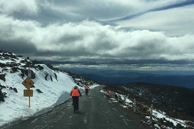 Easy Bike Tour - Mt Wellington Summit Descent & Rainforest Ride - Meeting and Pickup Details