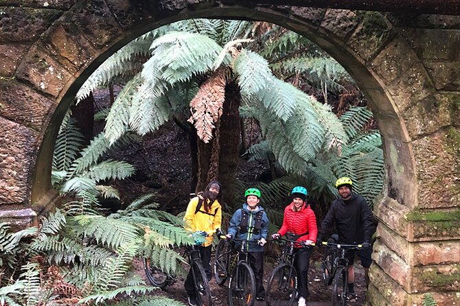 Easy Bike Tour - Mt Wellington Summit Descent & Rainforest Ride - Tour Departure Times