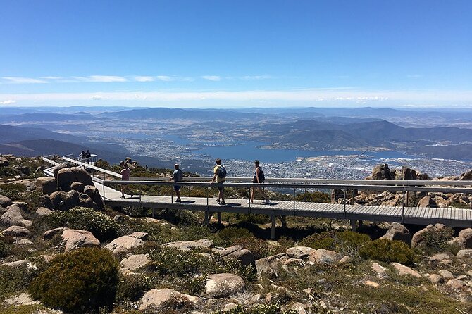 Easy Bike Tour - Mt Wellington Summit Descent & Rainforest Ride - Parking and Transportation