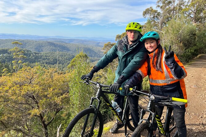 Easy Bike Tour - Mt Wellington Summit Descent & Rainforest Ride - Tour Reviews and Accolades