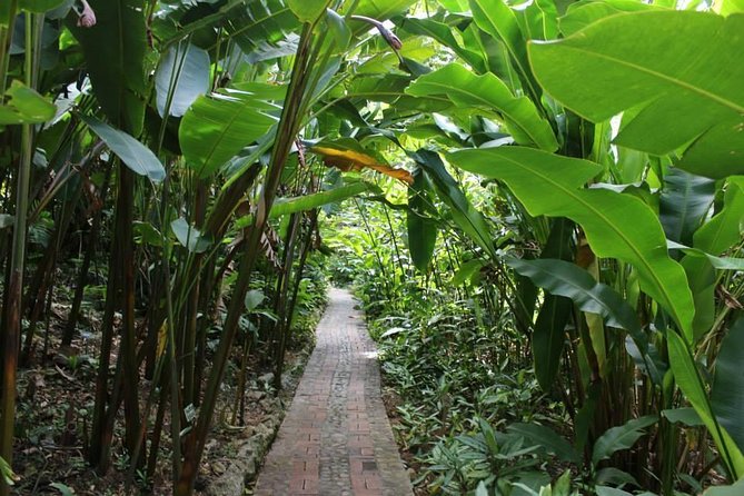 Easy Hike With Relaxing Garden Tour and Delicious Lunch - About Your Stay